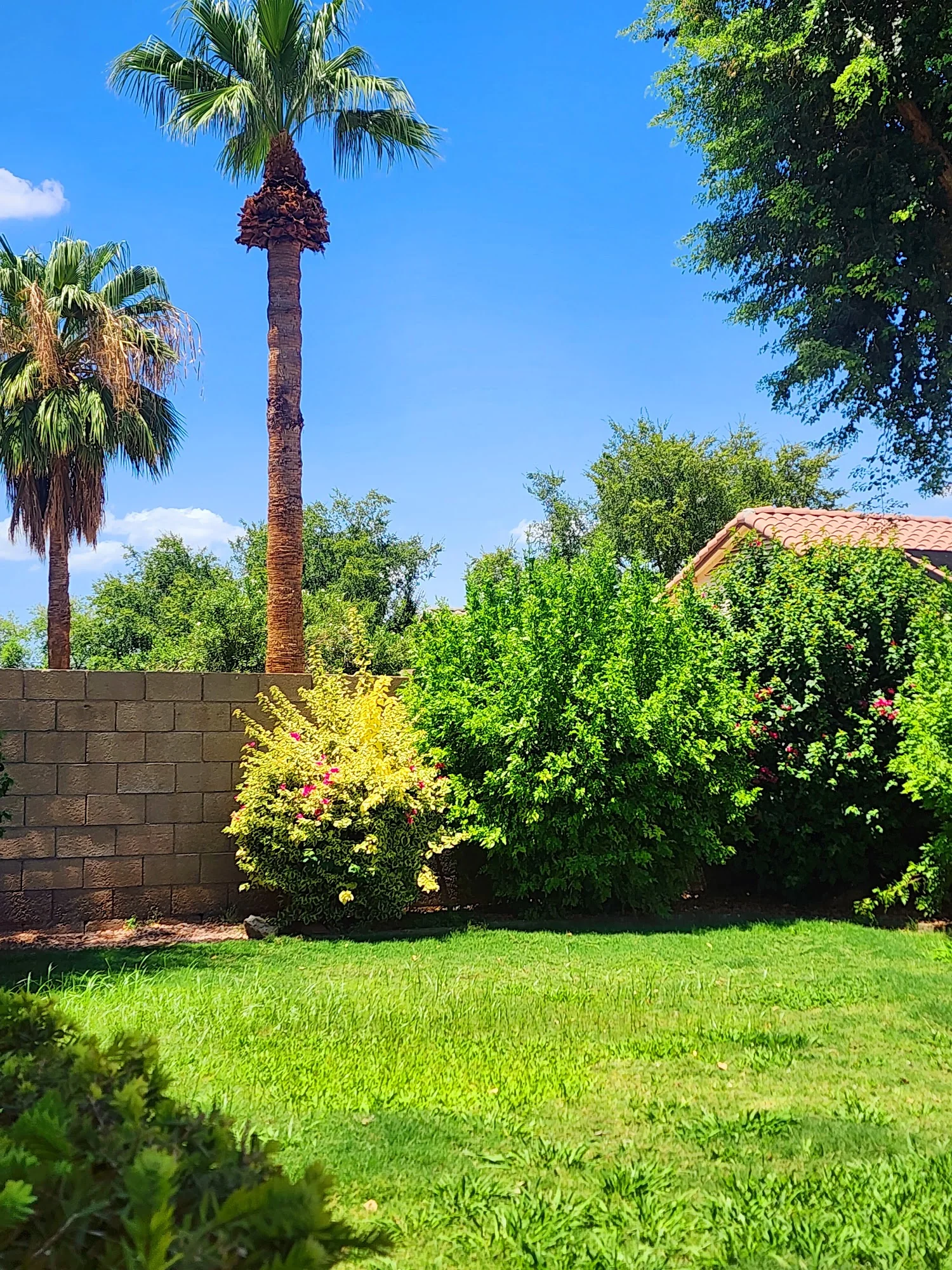 Evergreen Assisted Living LLC