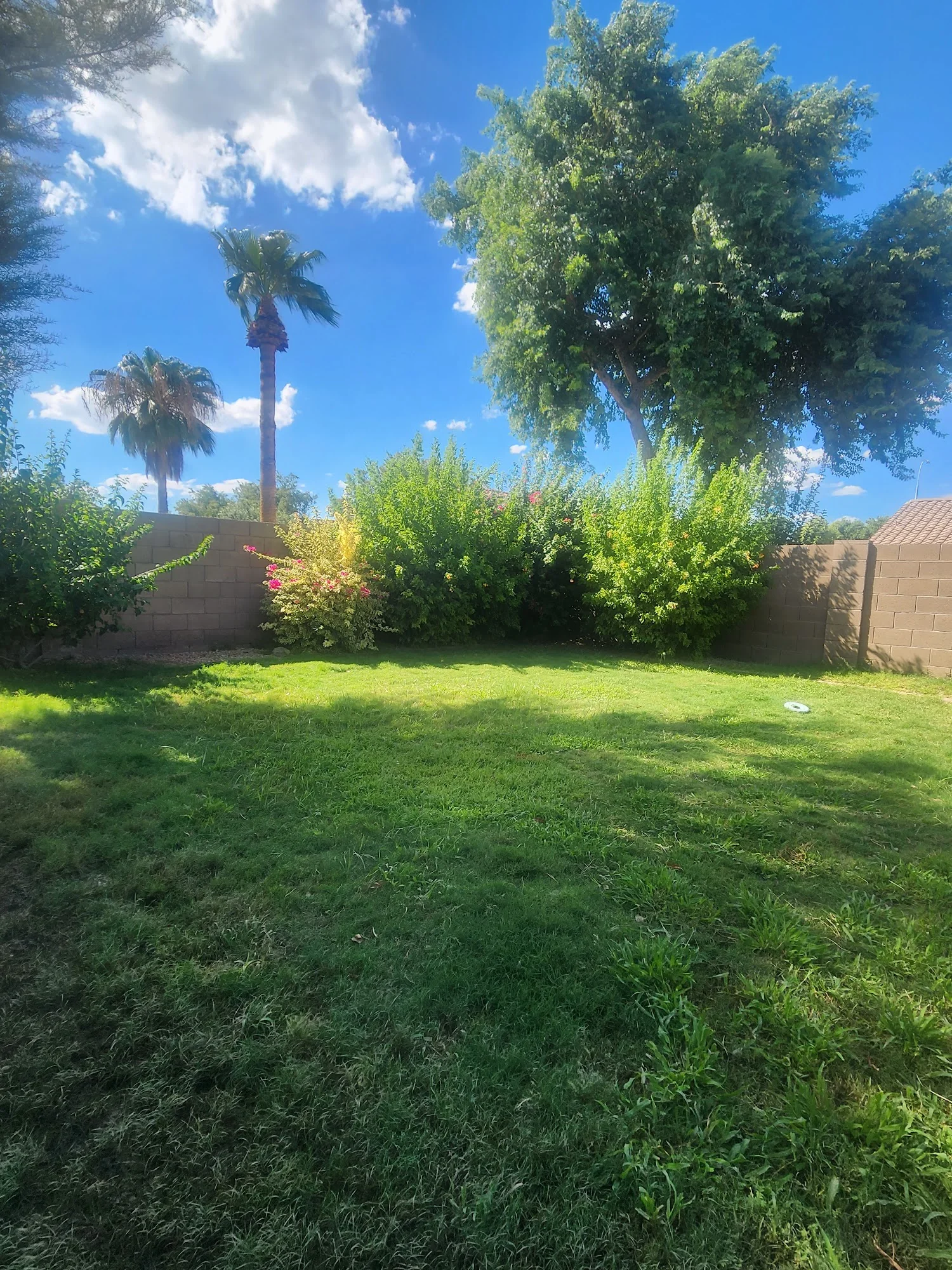 Evergreen Assisted Living LLC