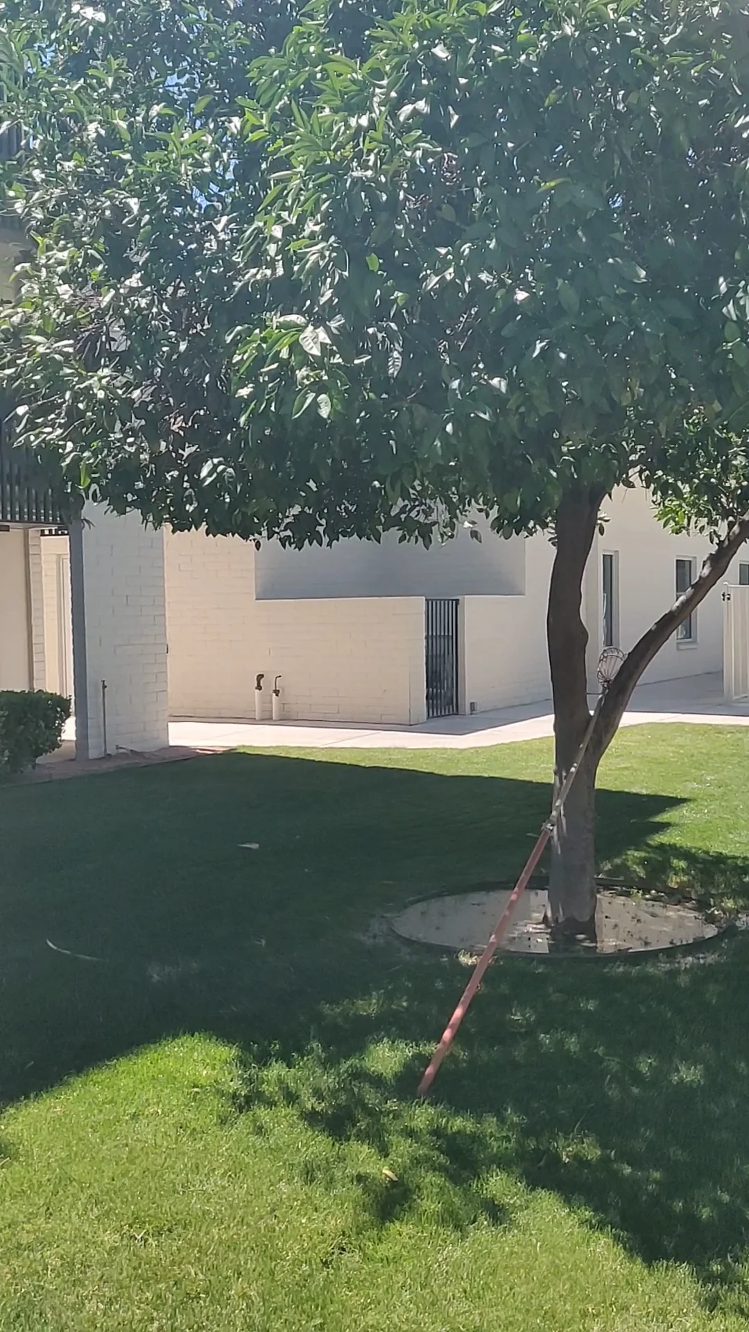 Fellowship Square Tucson