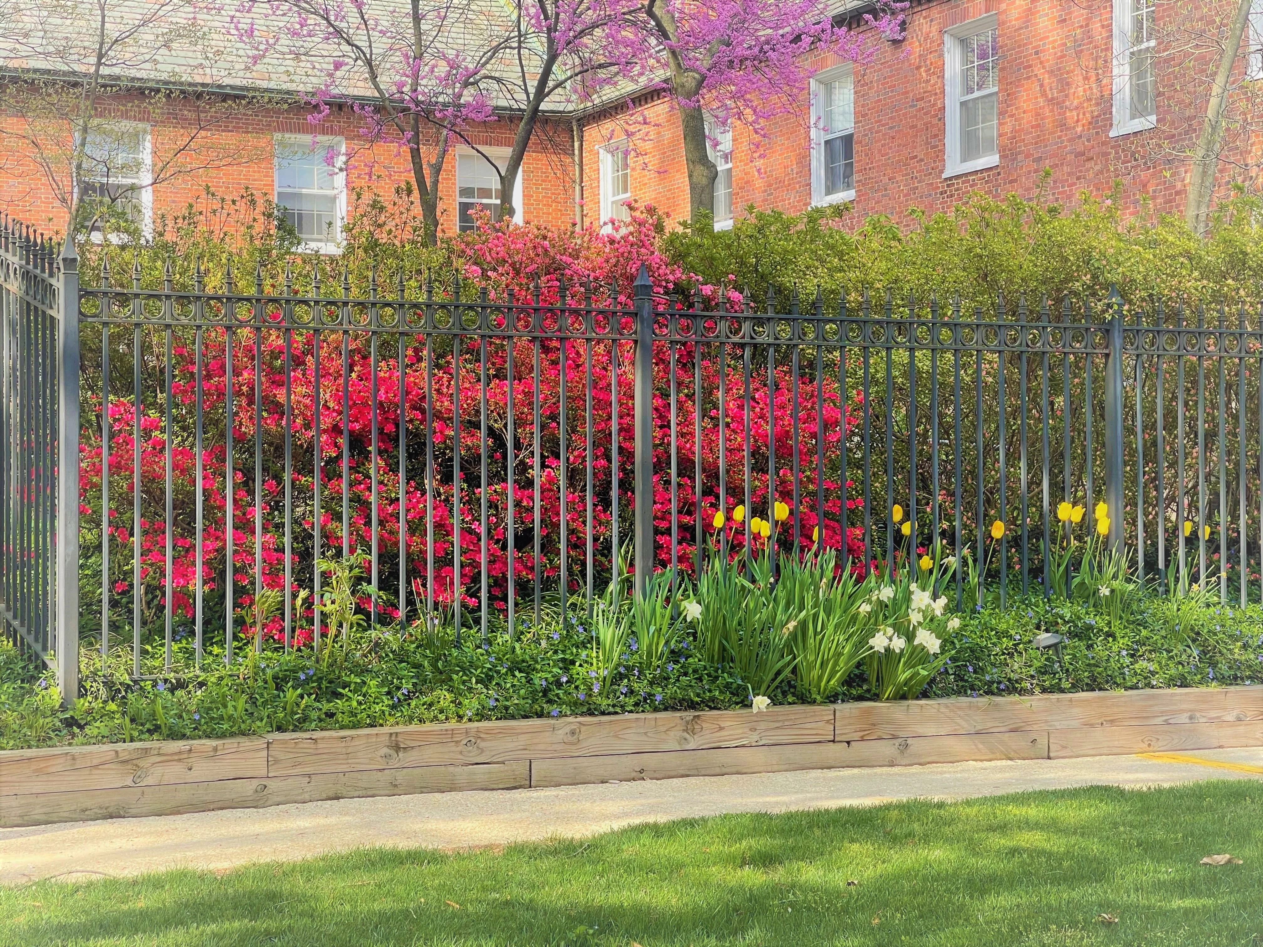 Forest Hills of DC