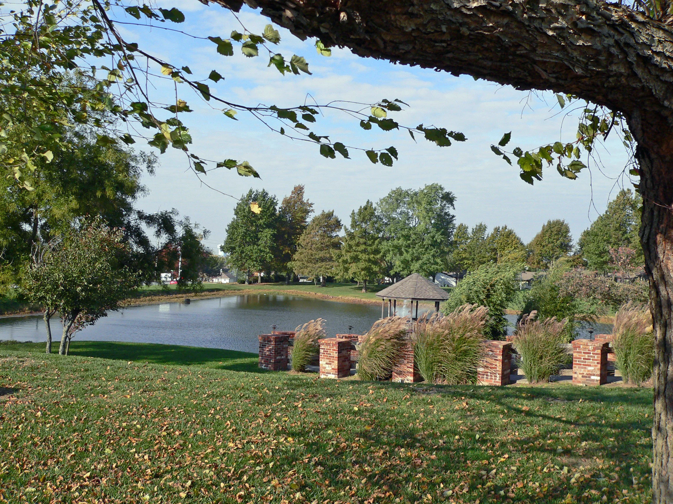 FOXWOOD SPRINGS