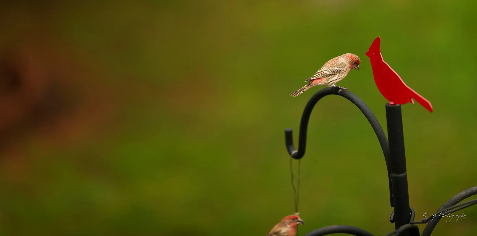 Friends Homes
