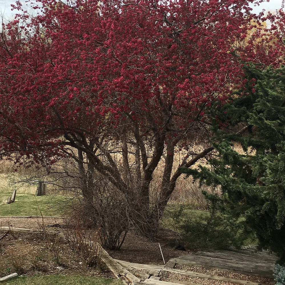 GARDENS CARE SENIOR LIVING - MAJESTIC VIEW