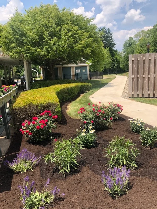 Georgetowne Place