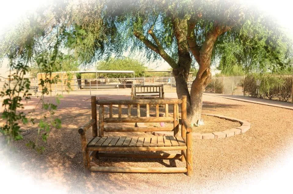 GRACE HILL RANCH, LLC