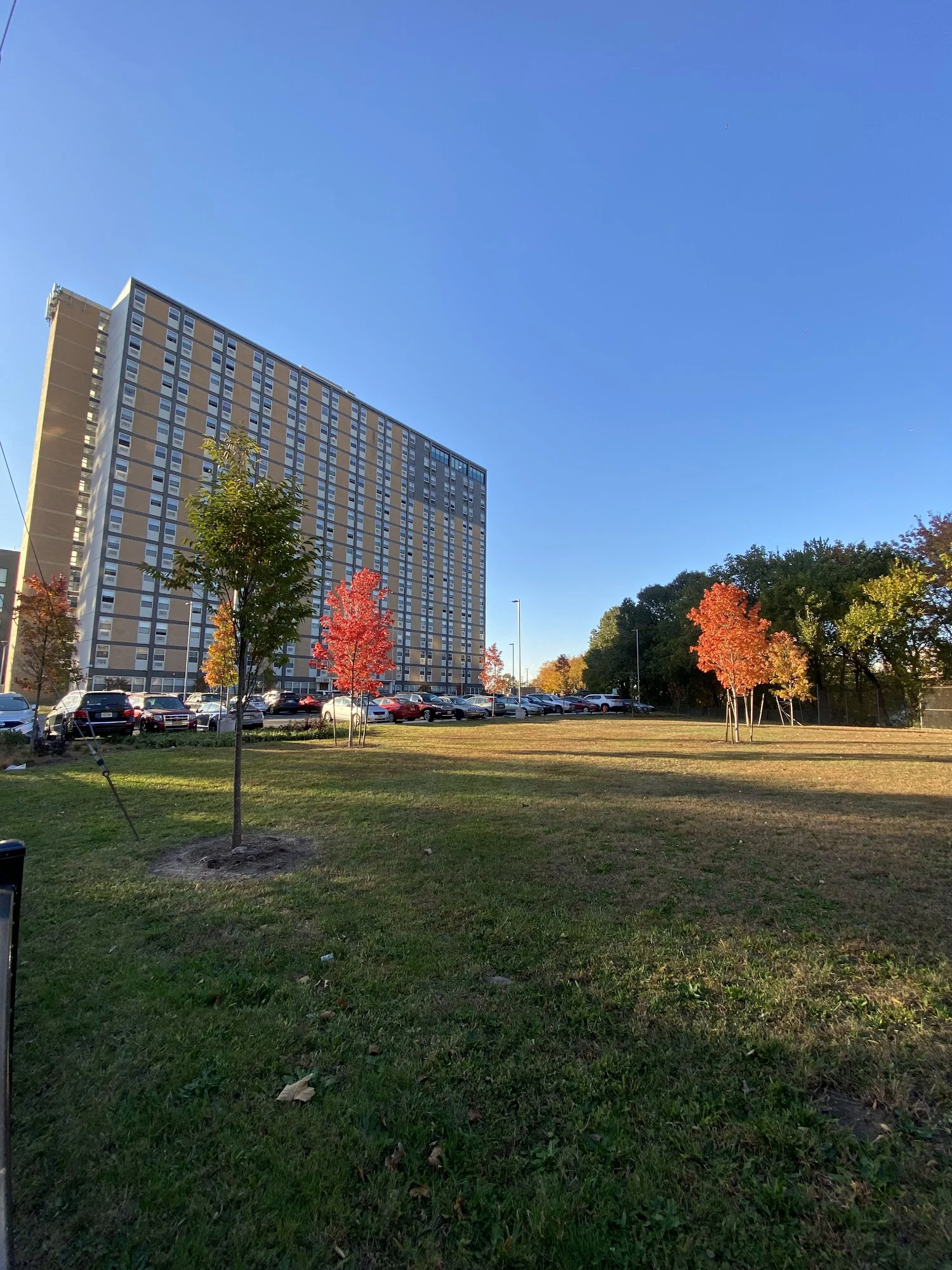 Grandview Terrace Inc
