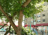 Greater Boston Chinese Golden Age Center