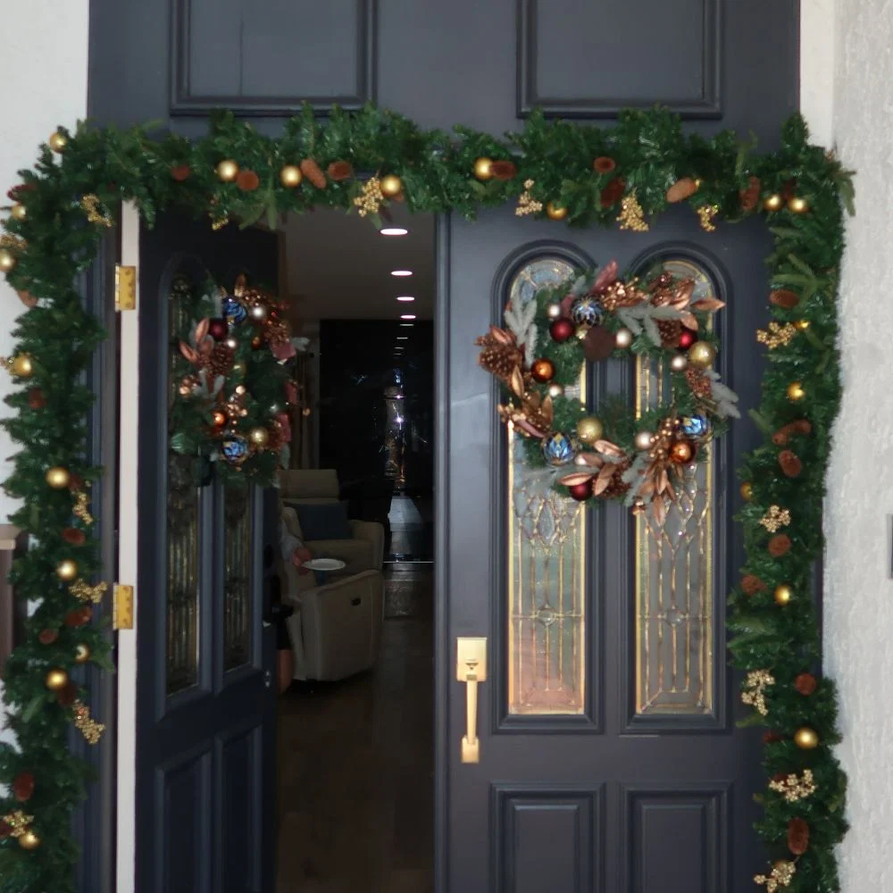 HAVEN OASIS SENIOR LIVING, INC