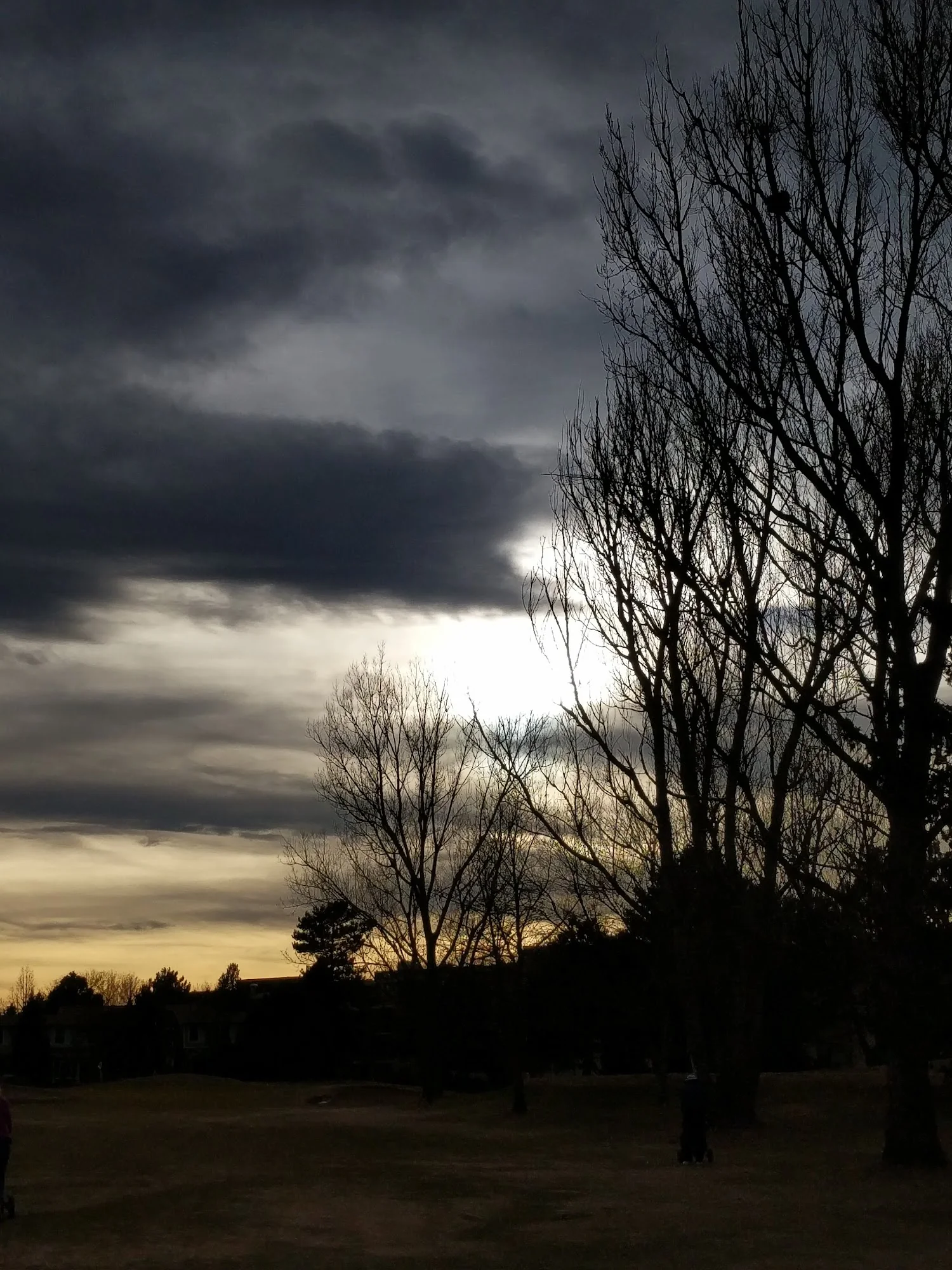 Heather Gardens