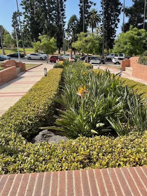 Hollenbeck Terrace
