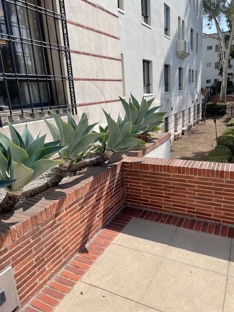 Hollenbeck Terrace