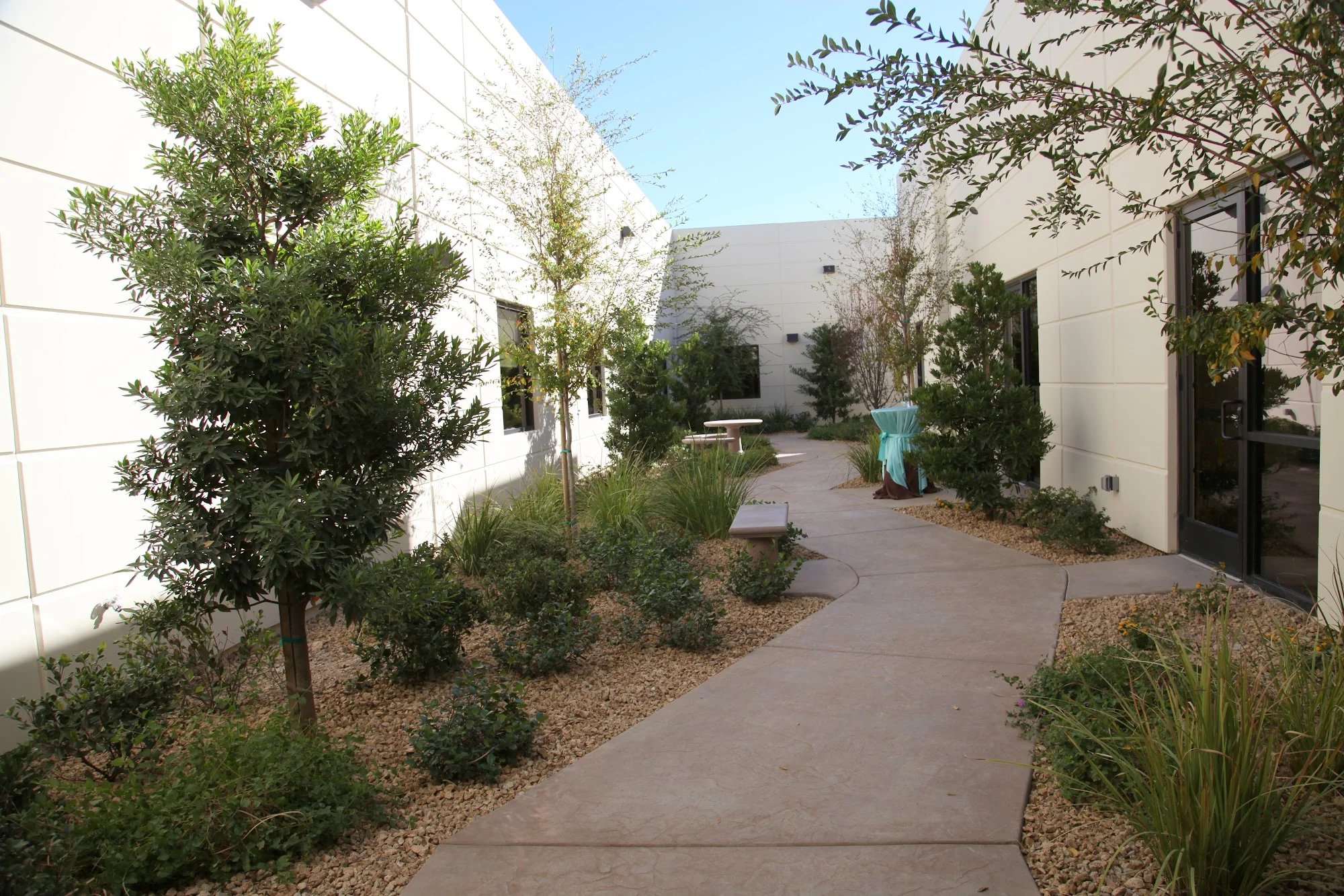 Horizon Specialty Hospital of Henderson