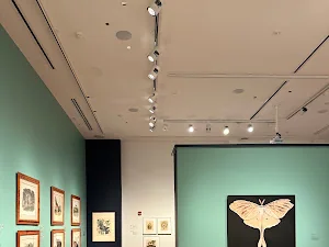 Huntsville Museum of Art