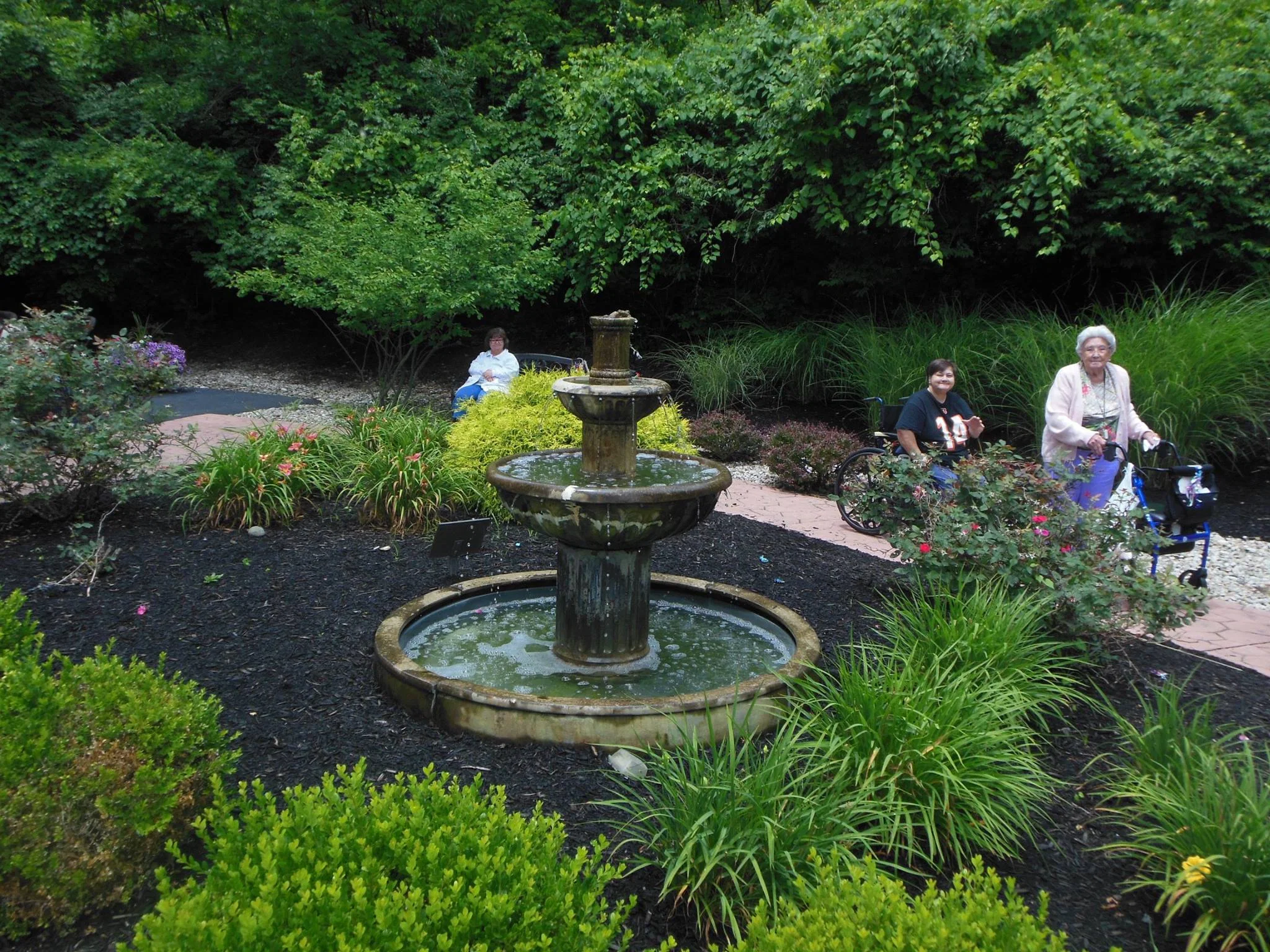 IVY KNOLL SENIOR LIVING