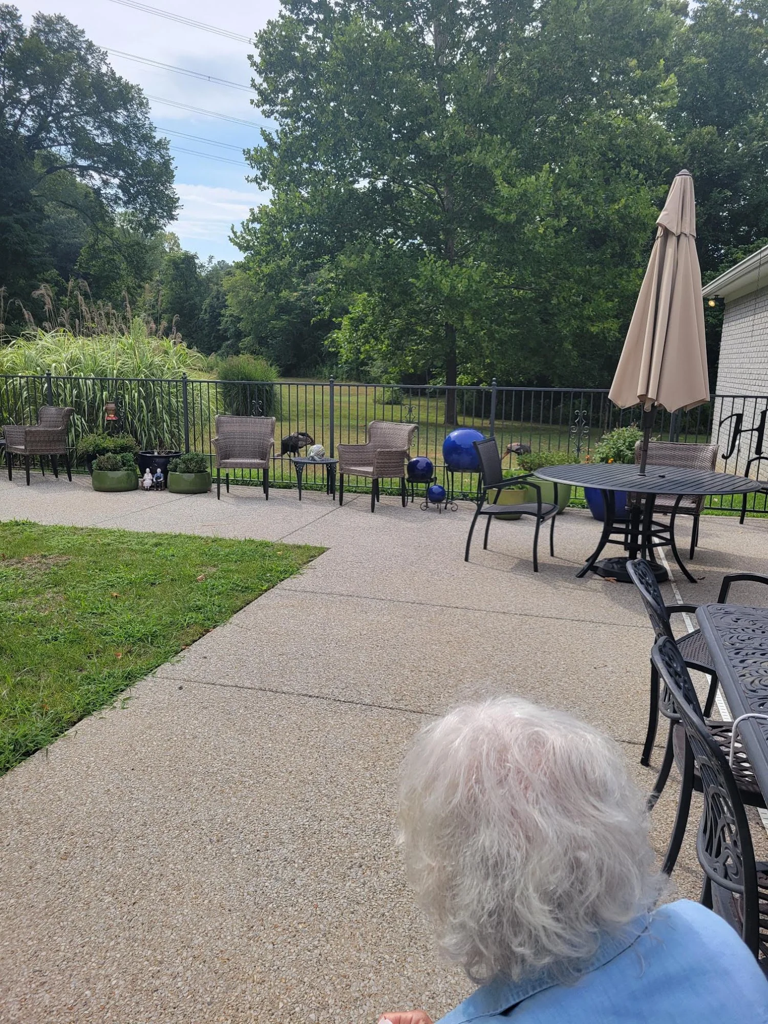 Just Like Home Senior Living