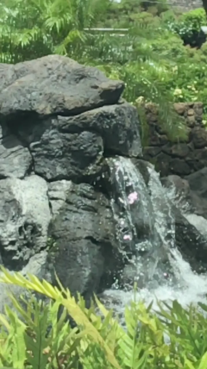 Kahala Nui