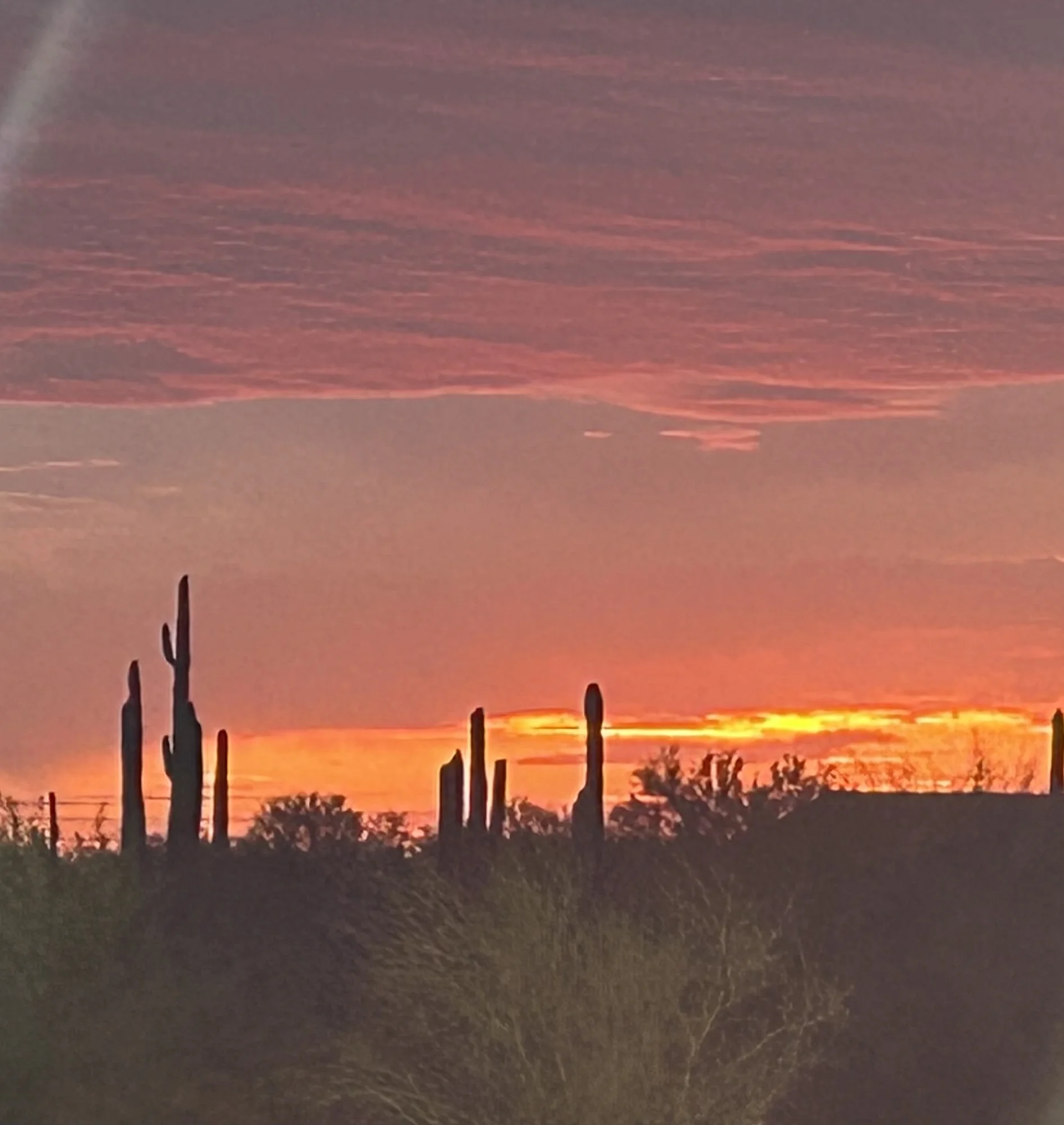 La Sonora at Dove Mountain Assisted Living & Memory Care