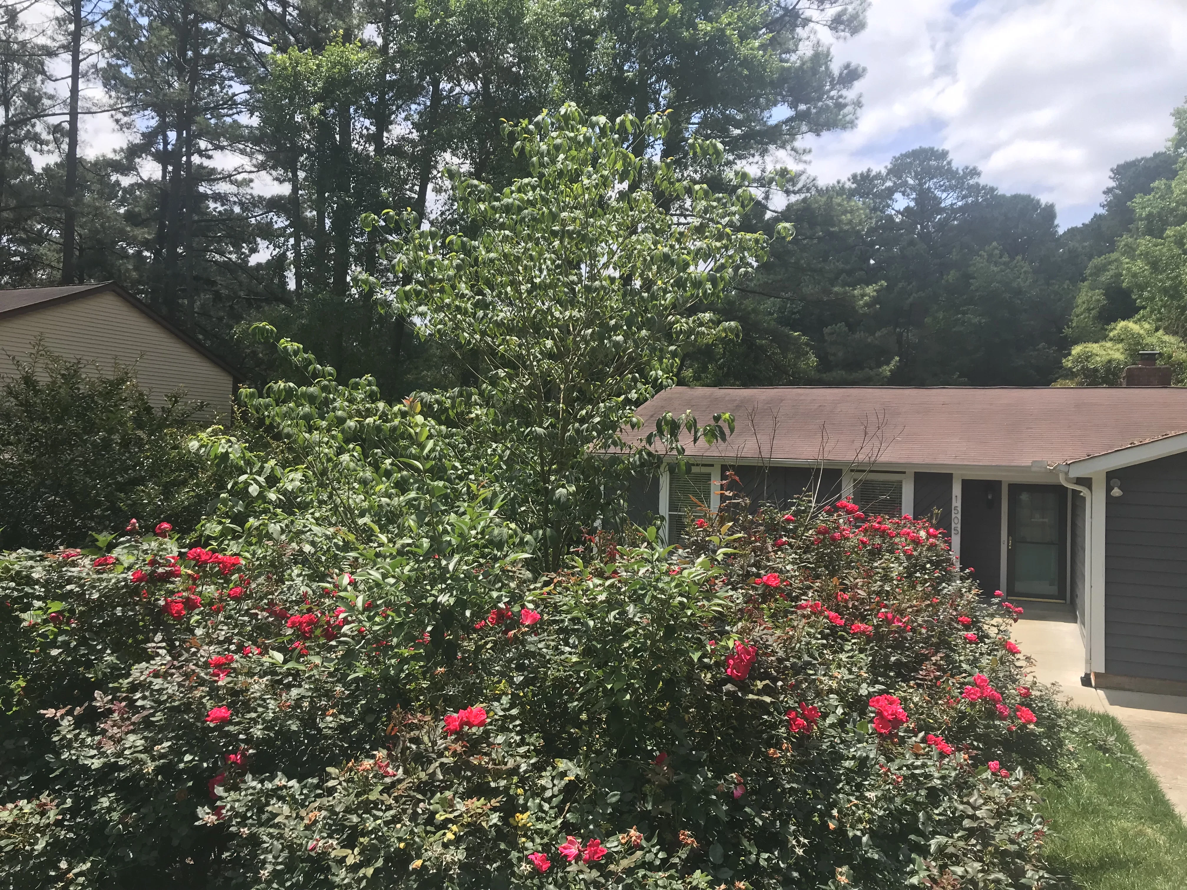LAKEPARK FAMILY CARE HOME