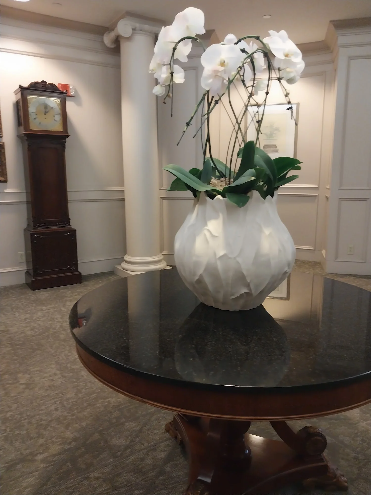 Lambeth House Retirement Community - Independent & Assisted Living