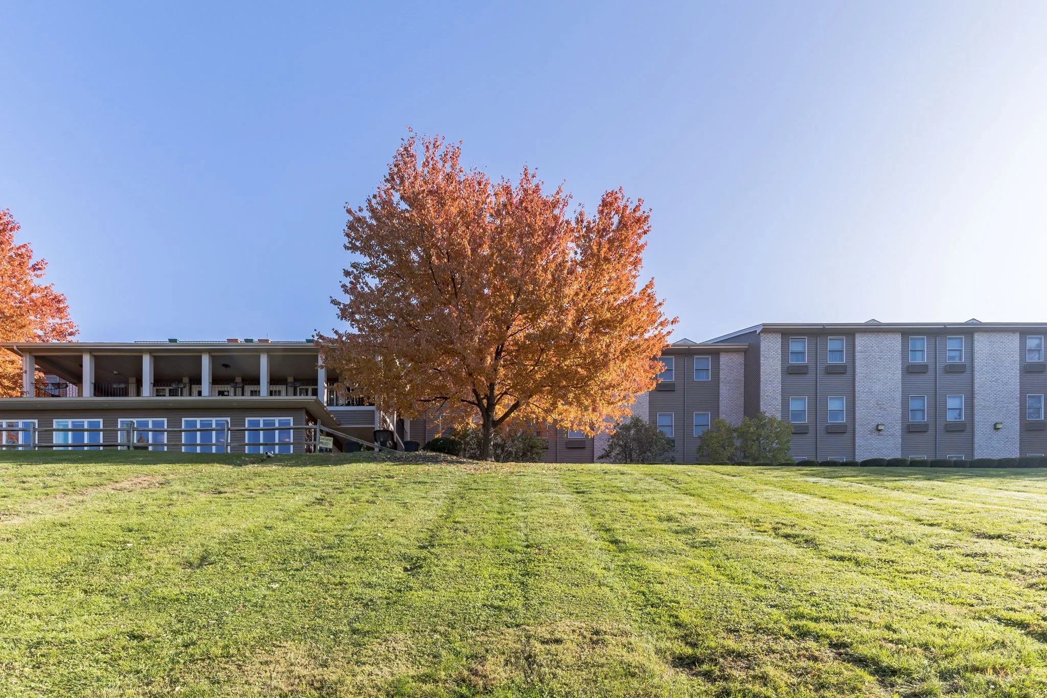 Laurel Pointe Senior Living