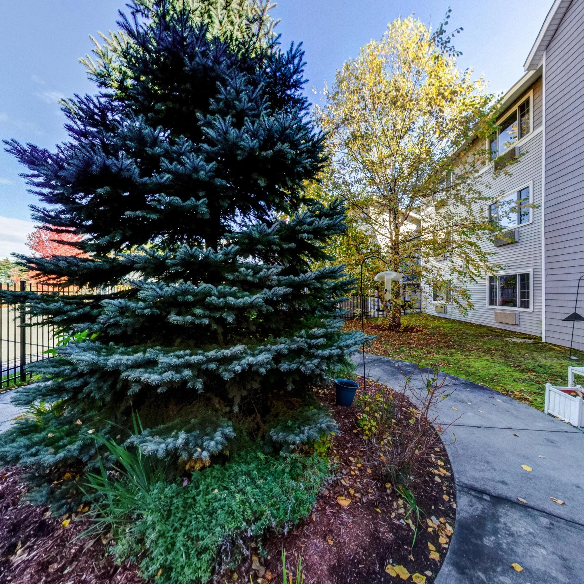 Ledgewood Bay Assisted Living
