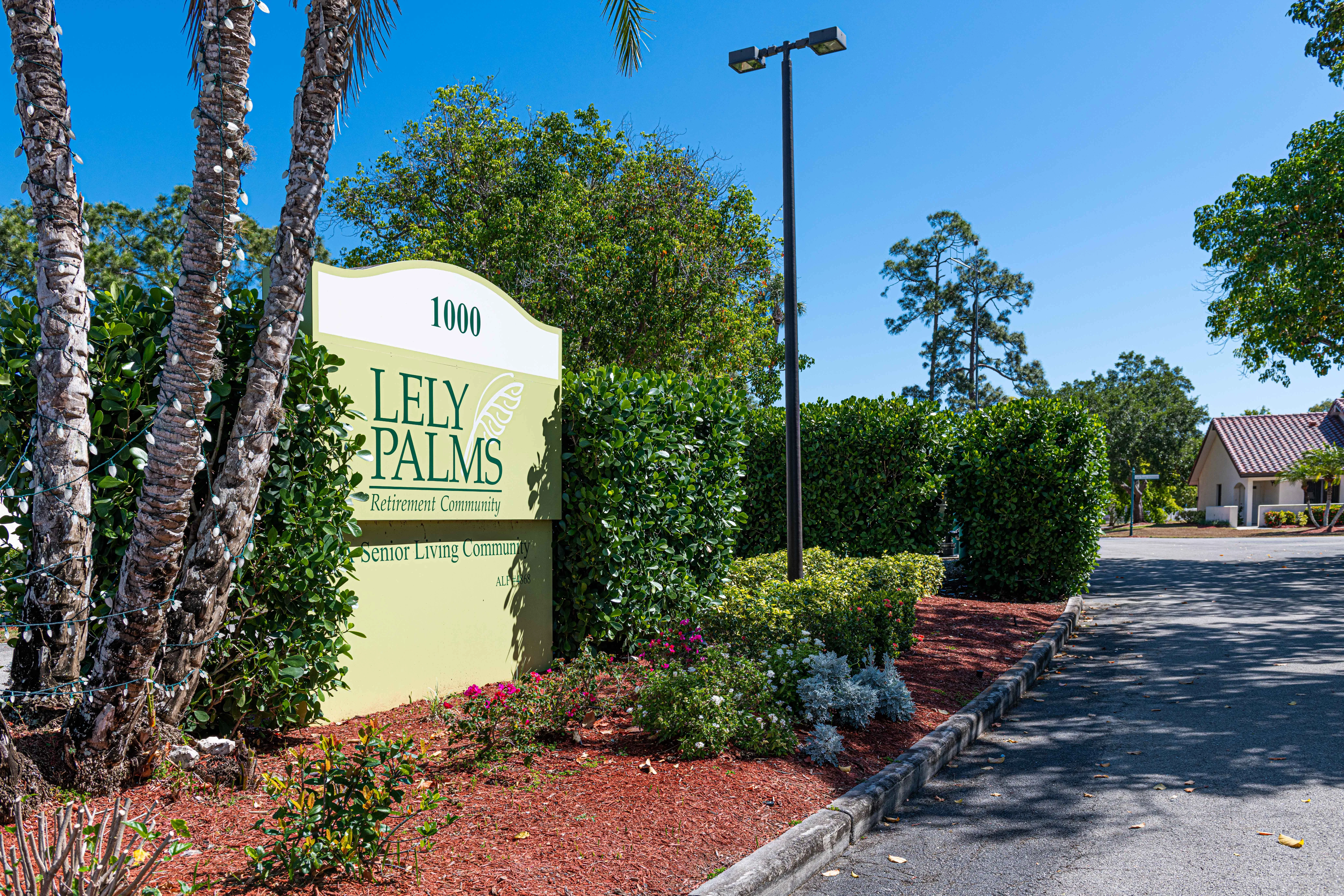 LELY PALMS