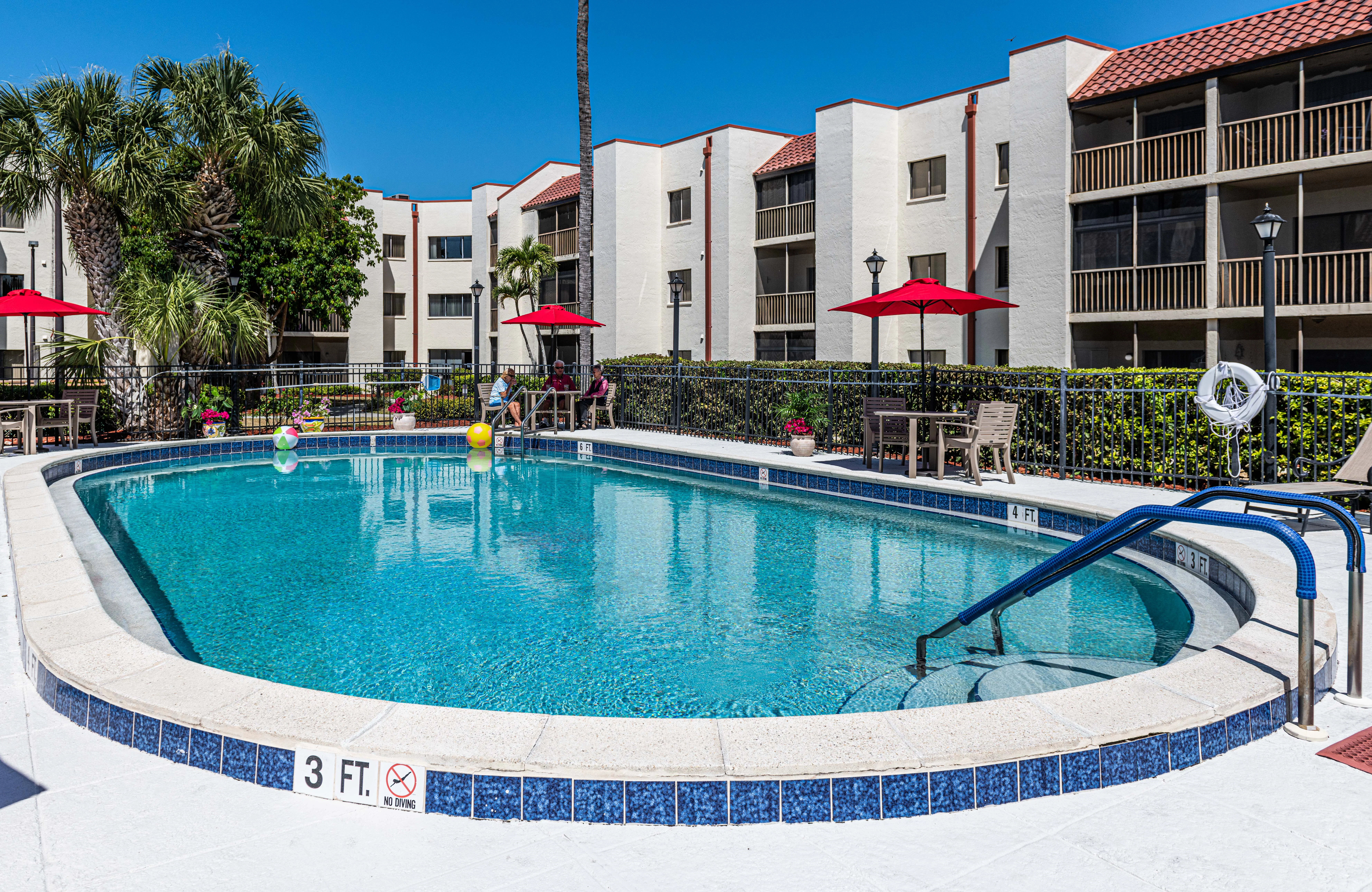 LELY PALMS