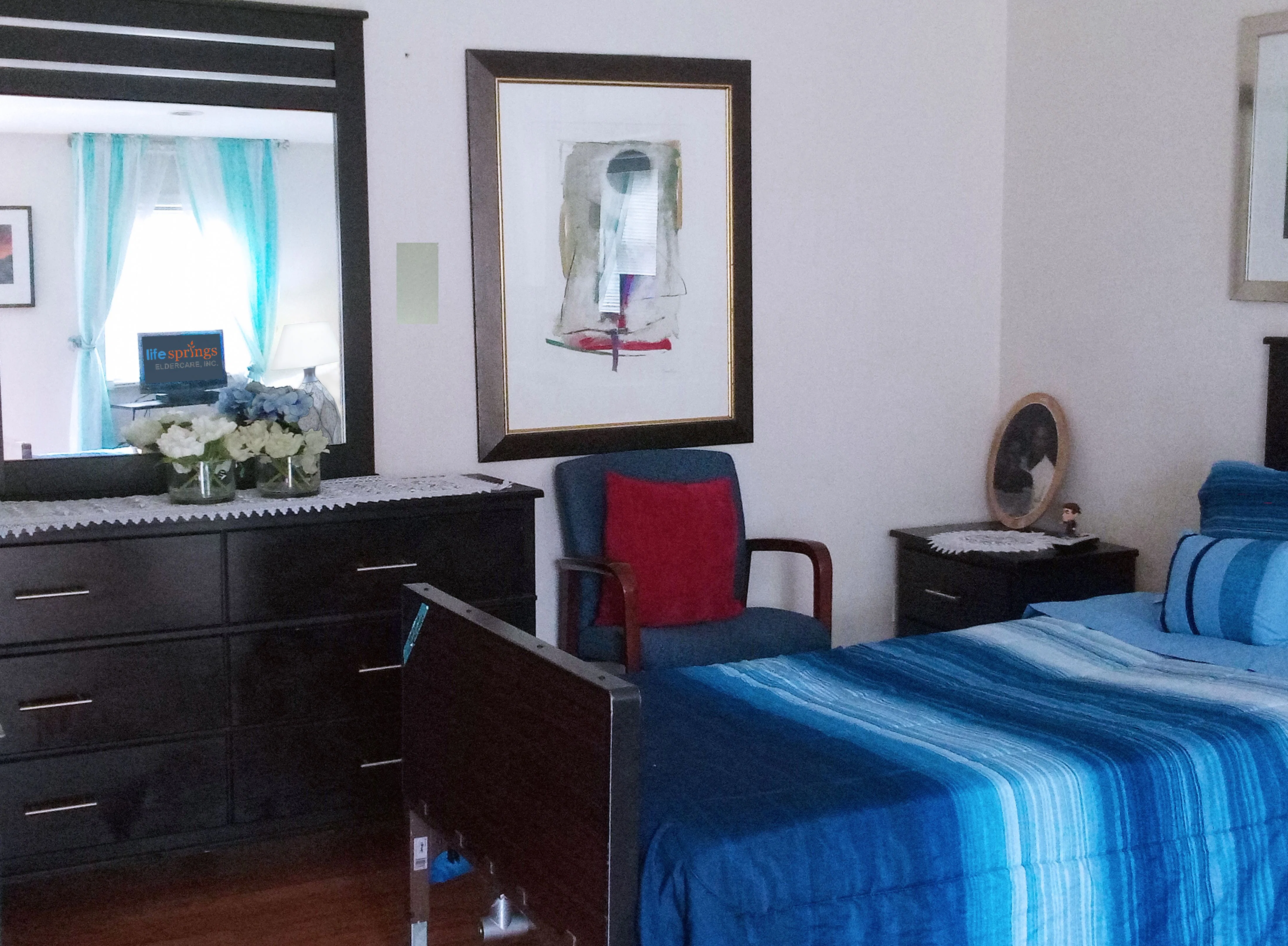 LIFESPRINGS ELDERCARE #1