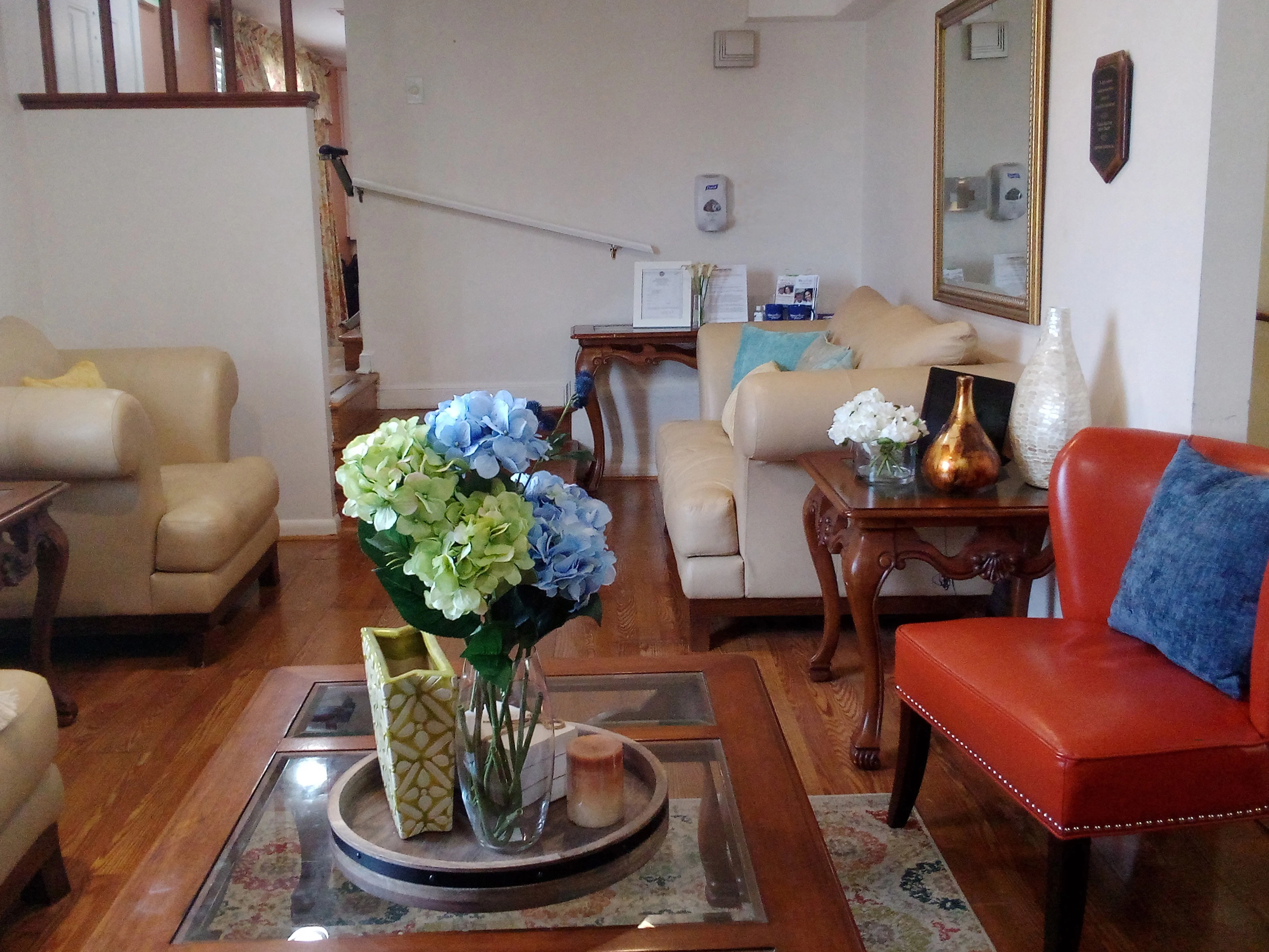 LIFESPRINGS ELDERCARE #1