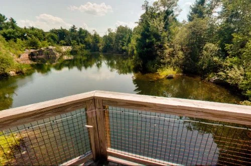 LINDEN PONDS