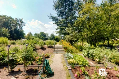 LINDEN PONDS