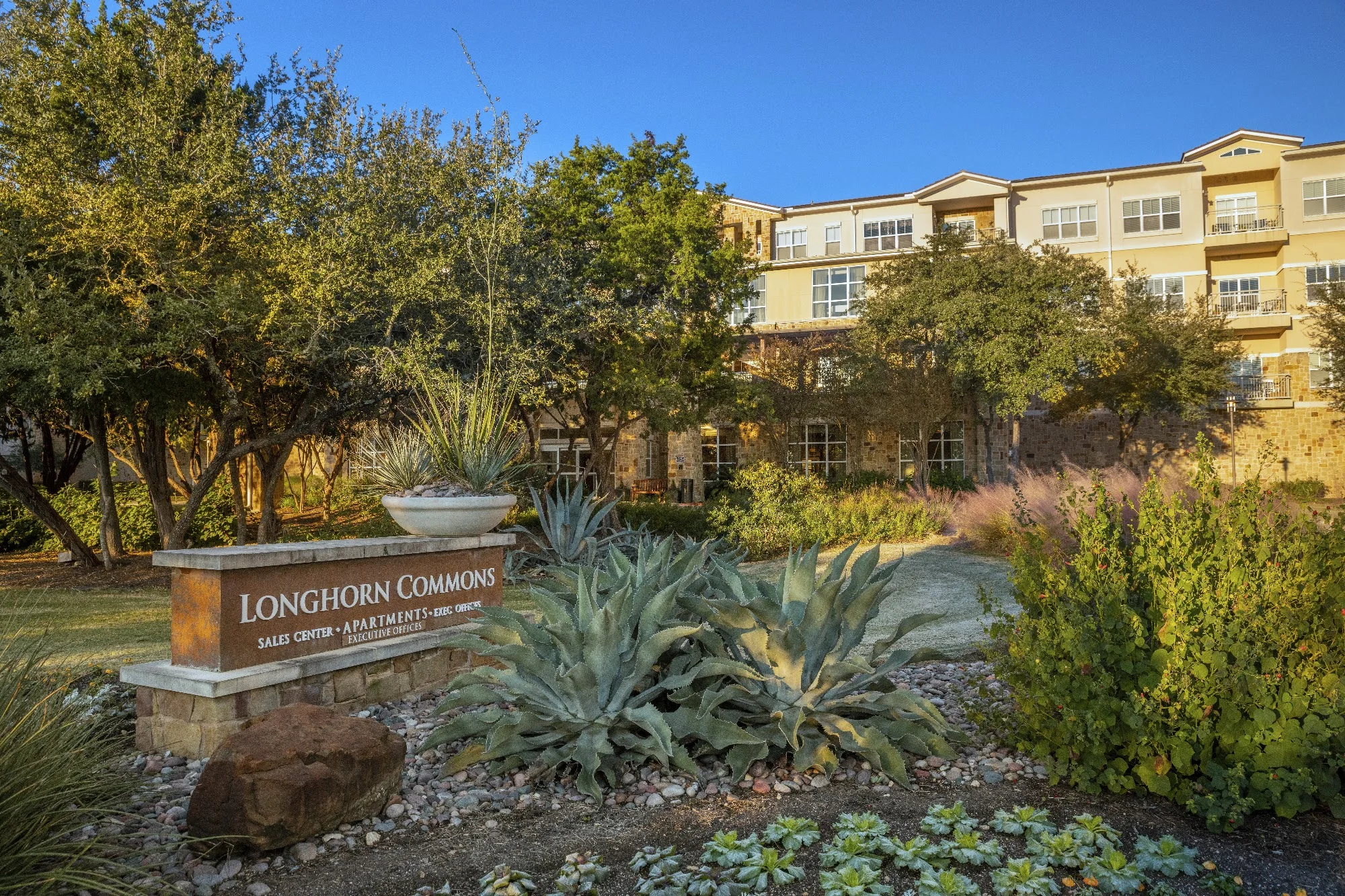 Longhorn Village