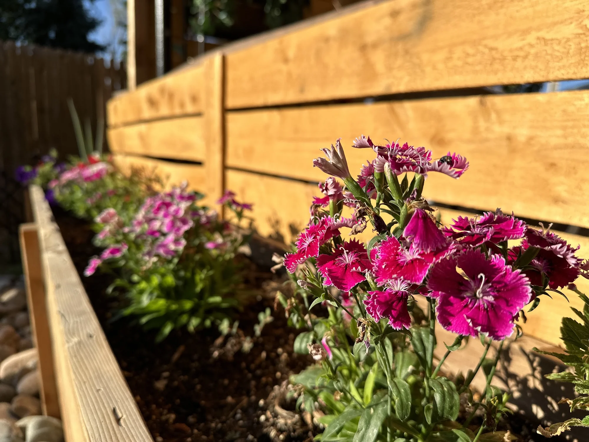 Lotus Assisted Living