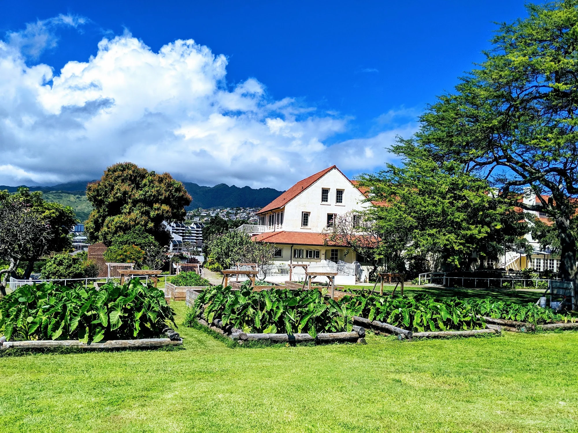 Lunalilo Home