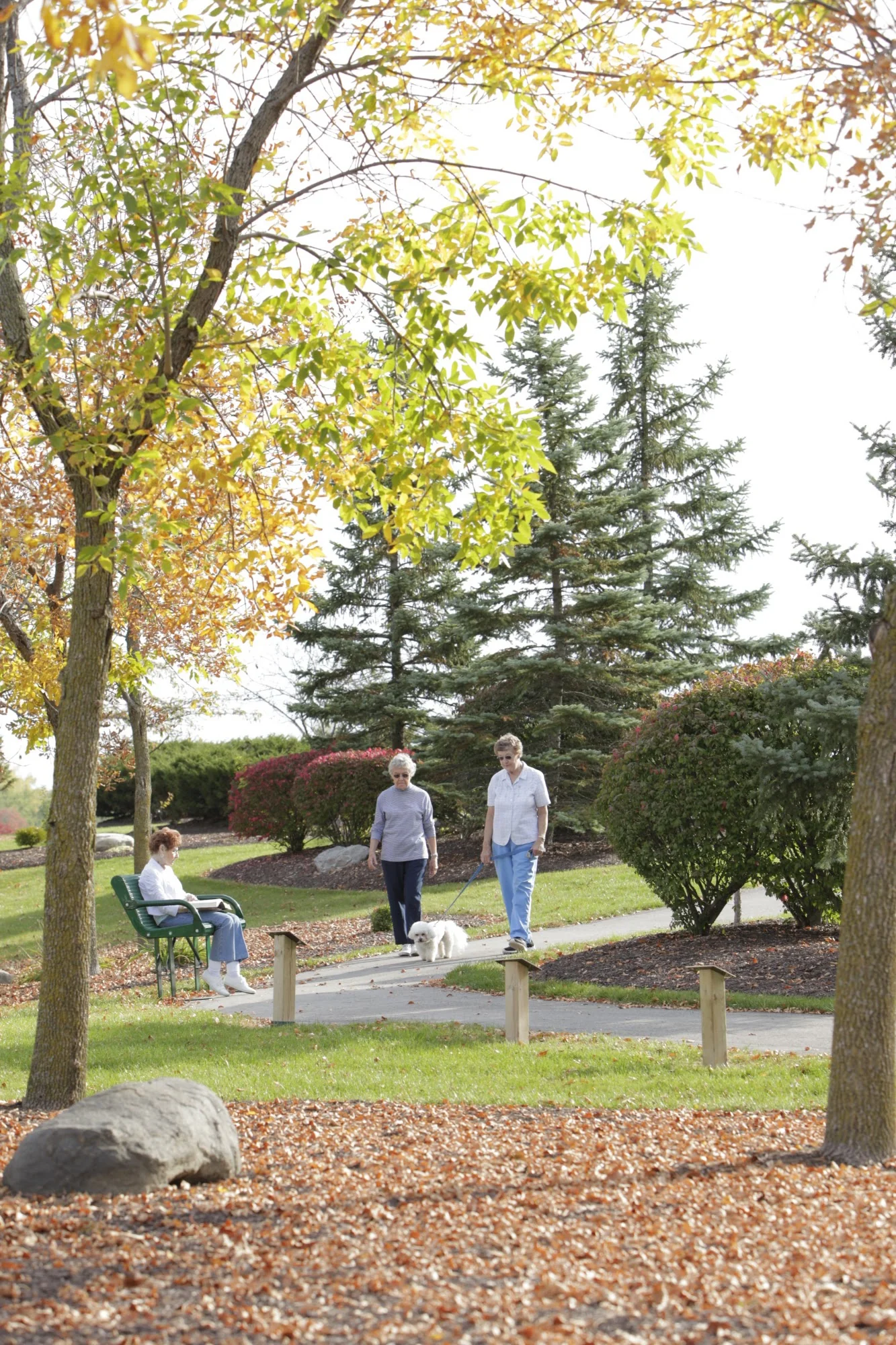 Lutheran Life Villages - The Village at Anthony Boulevard