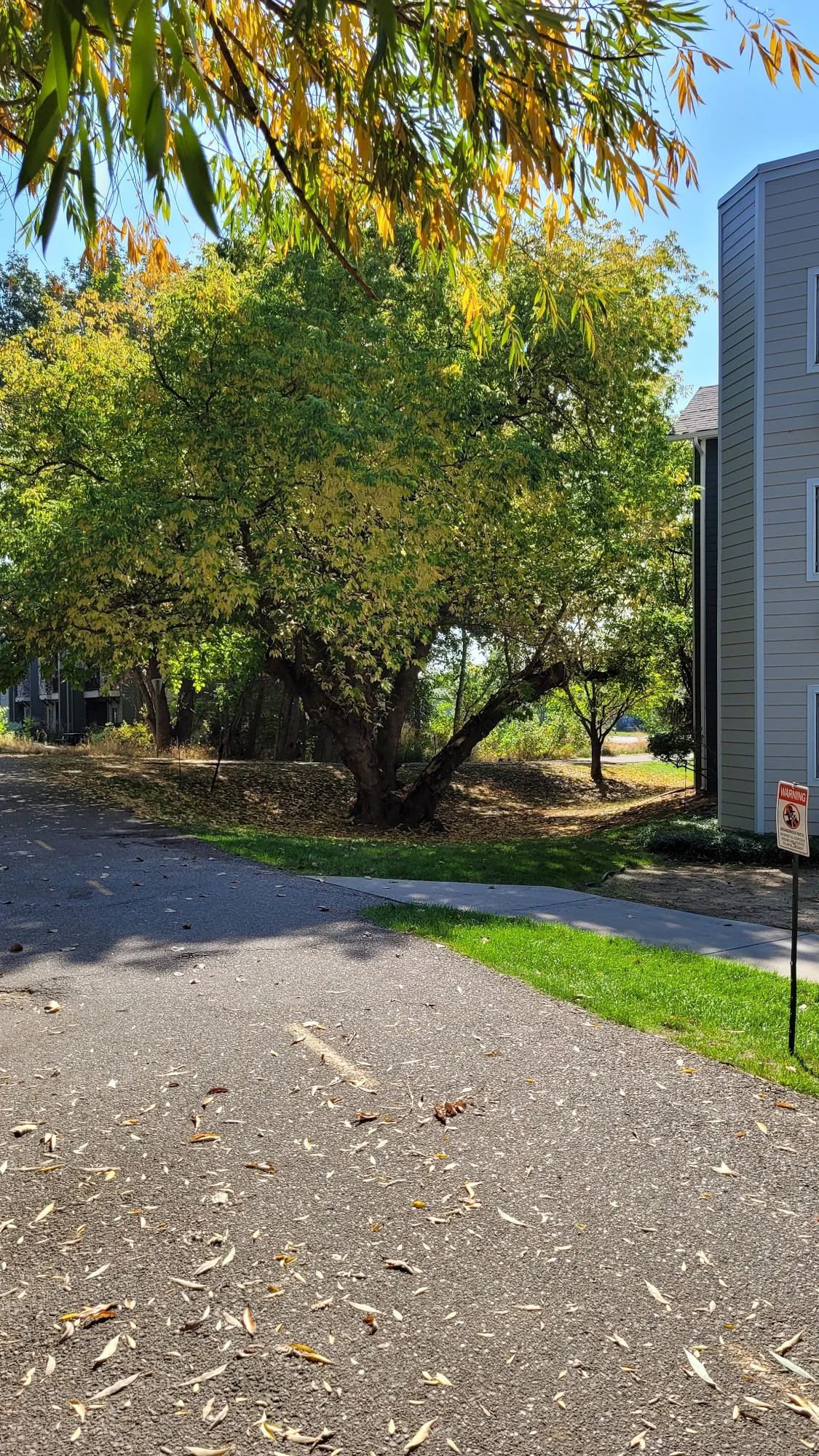 Mallard Pointe Apartments