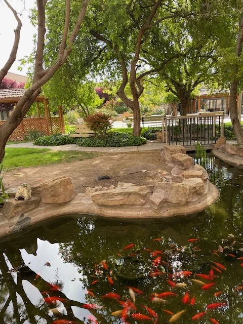 Manzano del Sol