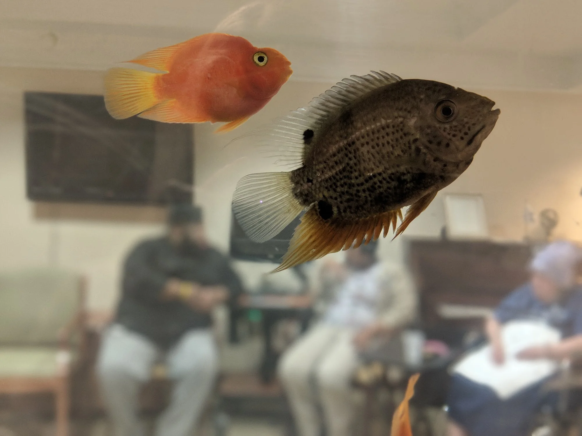 Marjorie P. Lee Retirement Community
