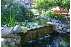 MAYFLOWER COMMUNITY