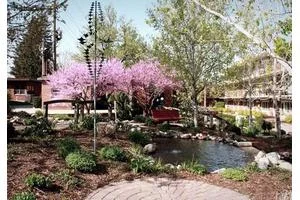 MAYFLOWER COMMUNITY