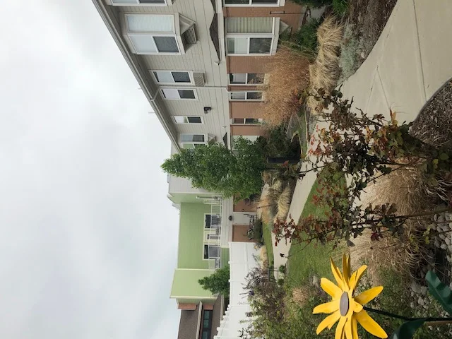 MOUNTAIN VISTA SENIOR LIVING (VISTA VILLAGE)