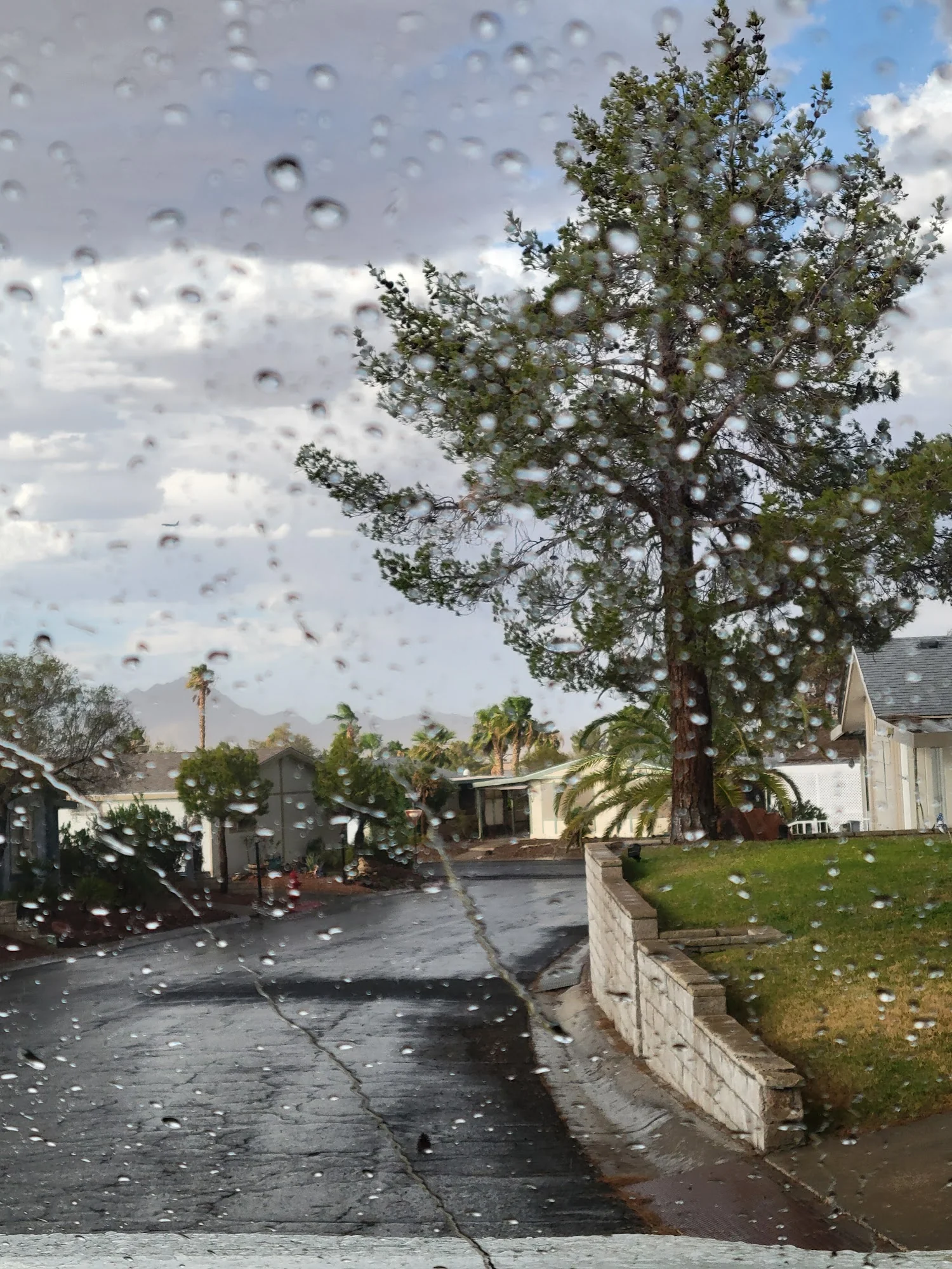 Mountain View - NV