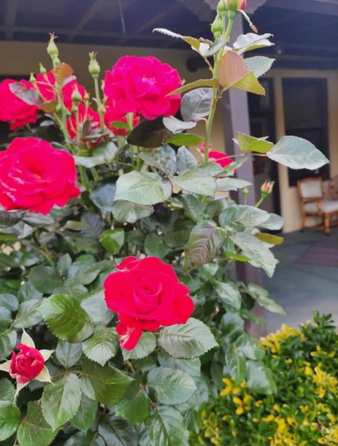 Nazareth House of Fresno
