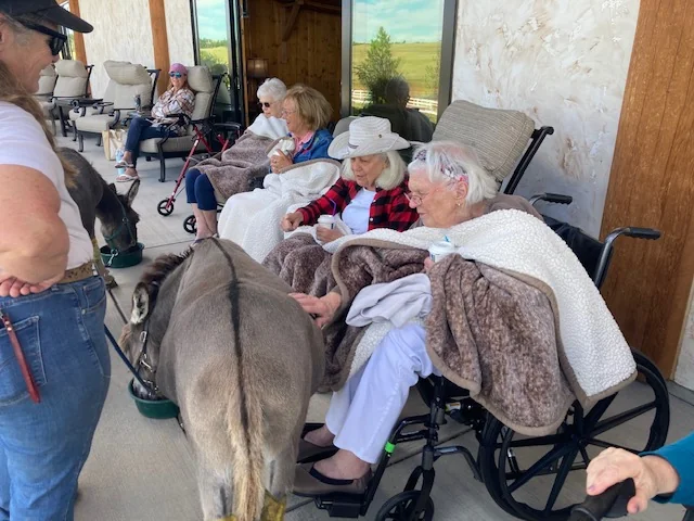New Day Cottages Assisted Living - Pine Creek