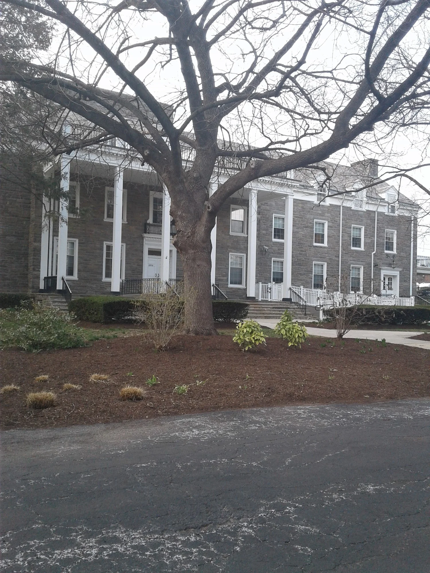 Newcourtland Elder Services