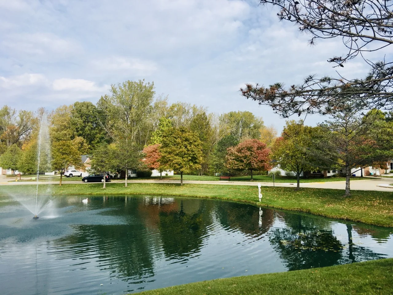 Ohio Living Swan Creek