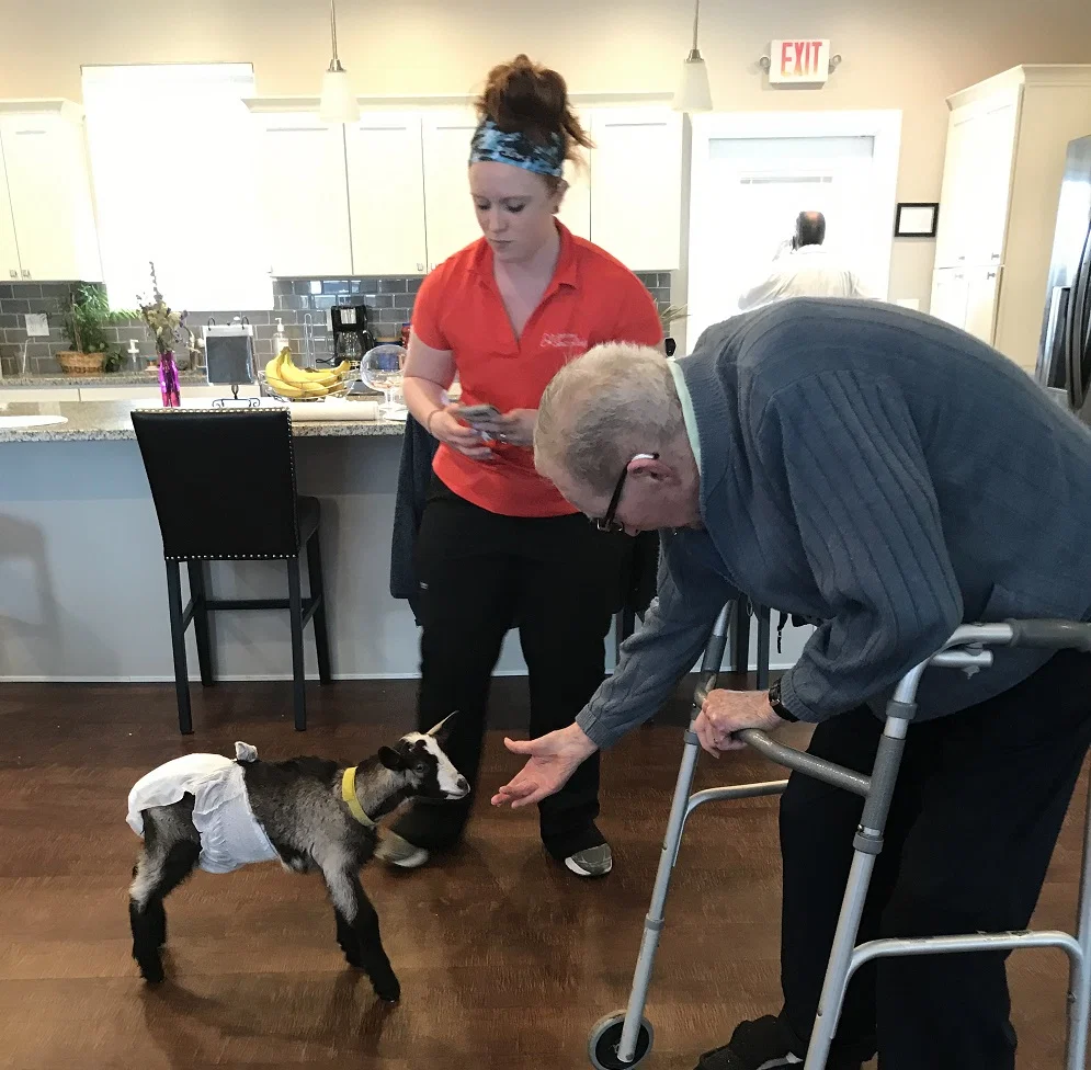 OPTIMIZED SENIOR LIVING LEBANON