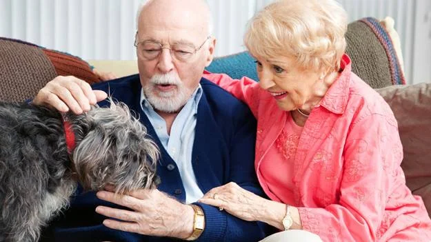 Paintbrush Assisted Living