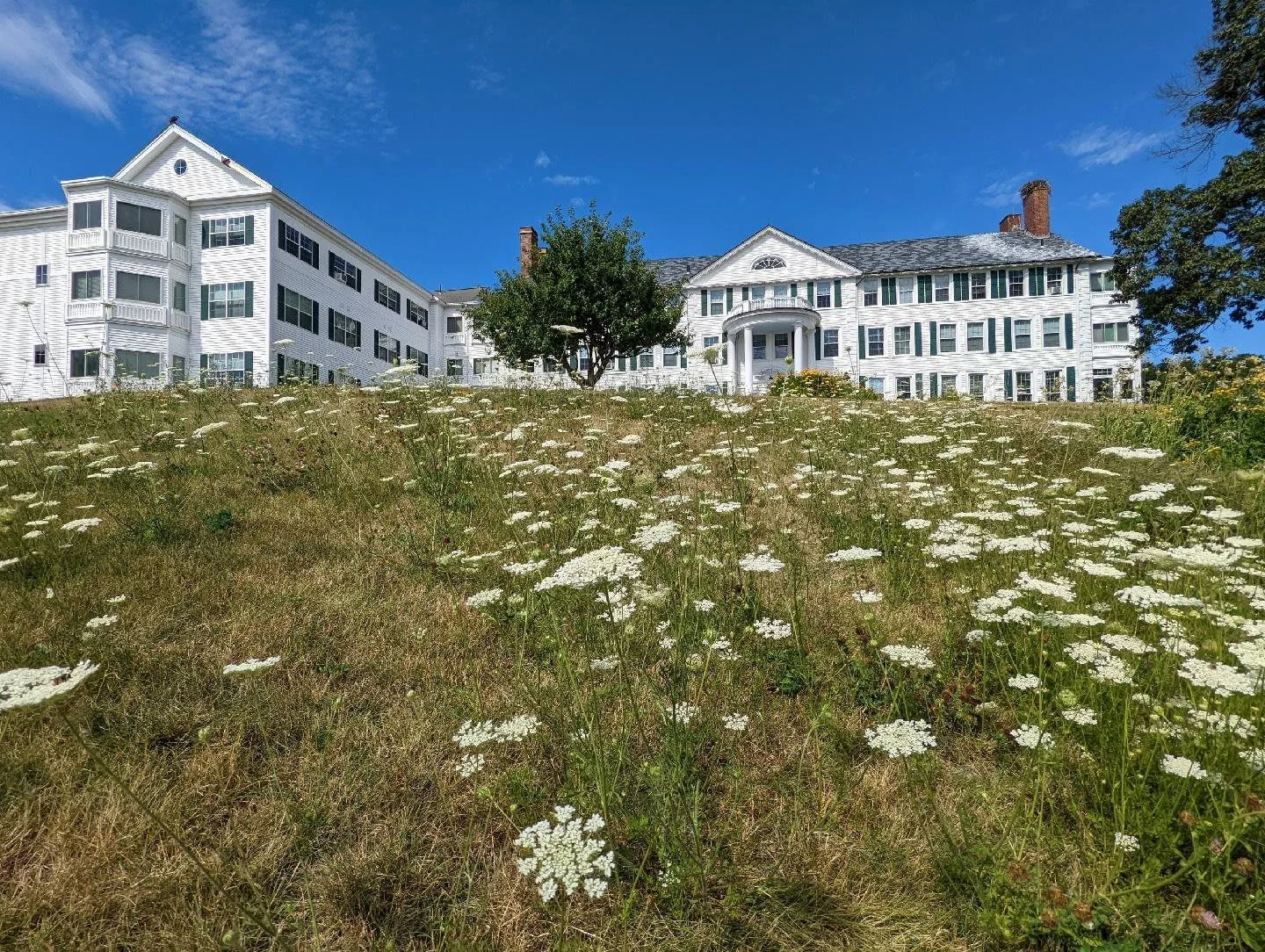 Plant Memorial Home - Assisted Living photo