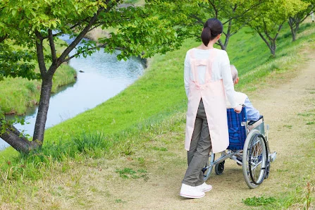 PREMIER SENIOR HOME CARE, LLC